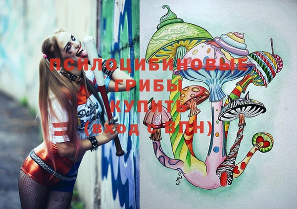 экстази Сатка