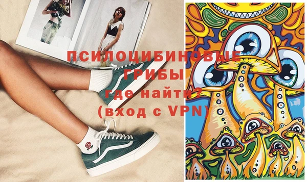 МДПВ Абдулино